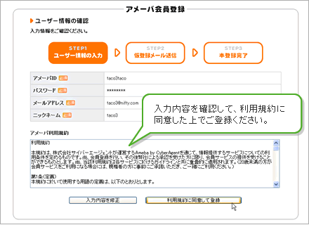 入力内容を確認して、利用規約に同意した上でご登録ください